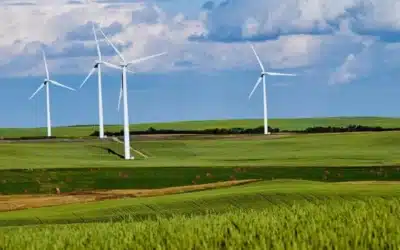 Eneco Wind Belgium choisit BatiScript pour son gain de temps